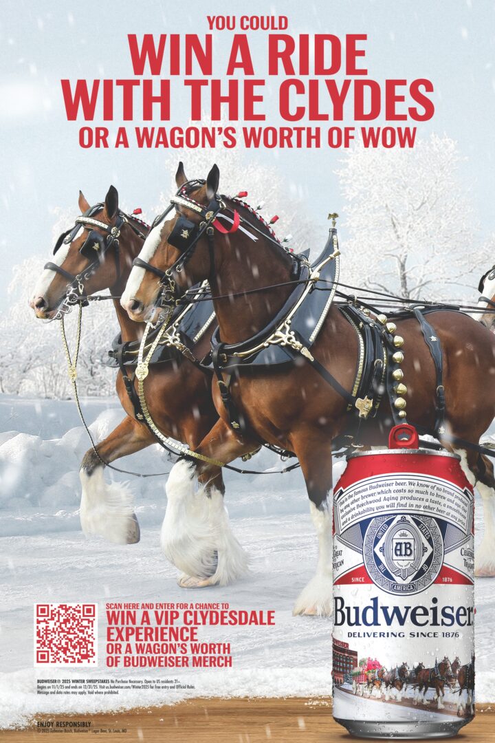 Bud2x3Winter25Swps_HolidayCann