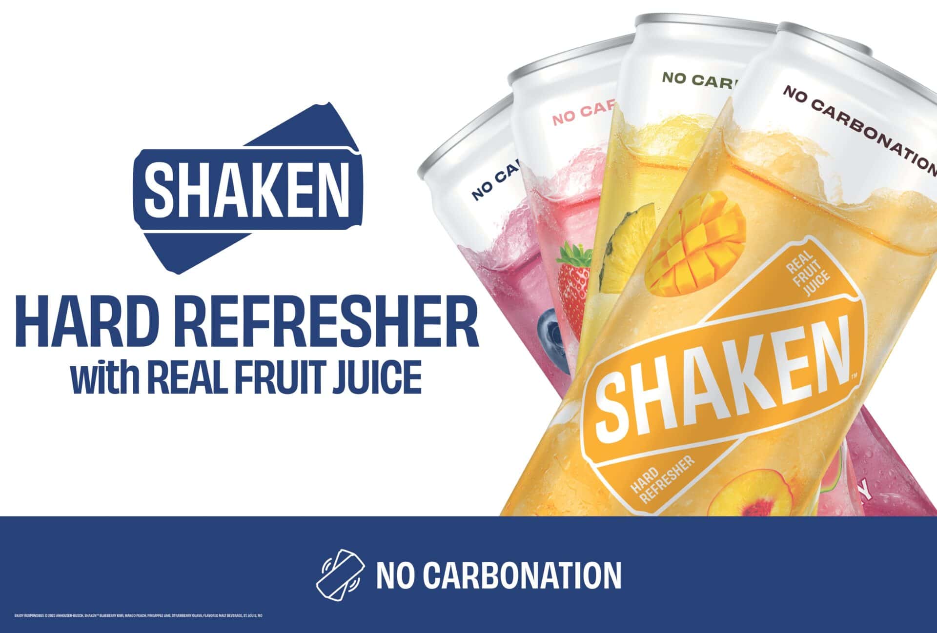 ShakenFam3x2Iconic2025KV_Cans-